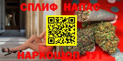 сатива Тверь