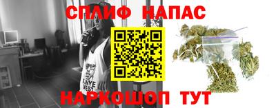 ГАЛЛЮЦИНОГЕННЫЕ ГРИБЫ Тара