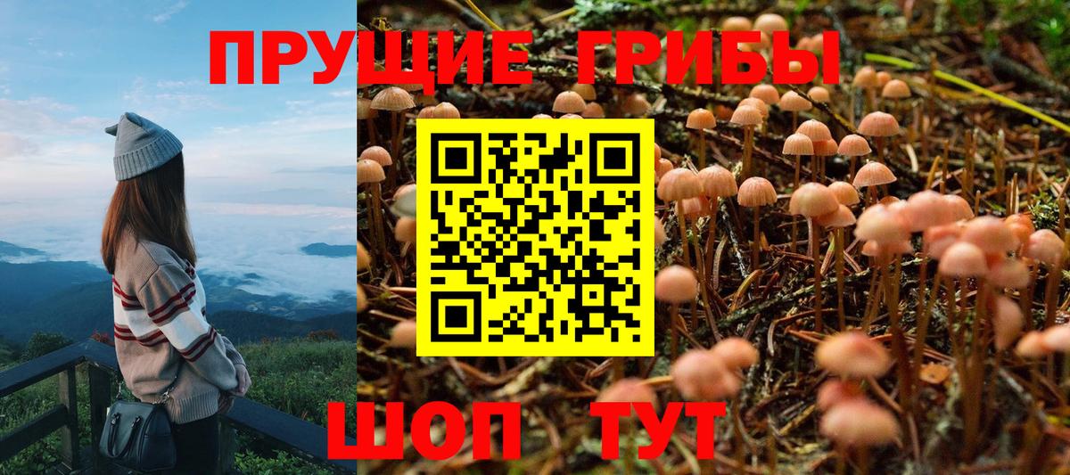 Братск  Галлюциногенные грибы Cubensis  Псилоцибиновые грибы MAGIC MUSHROOMS  Вход с VPN 