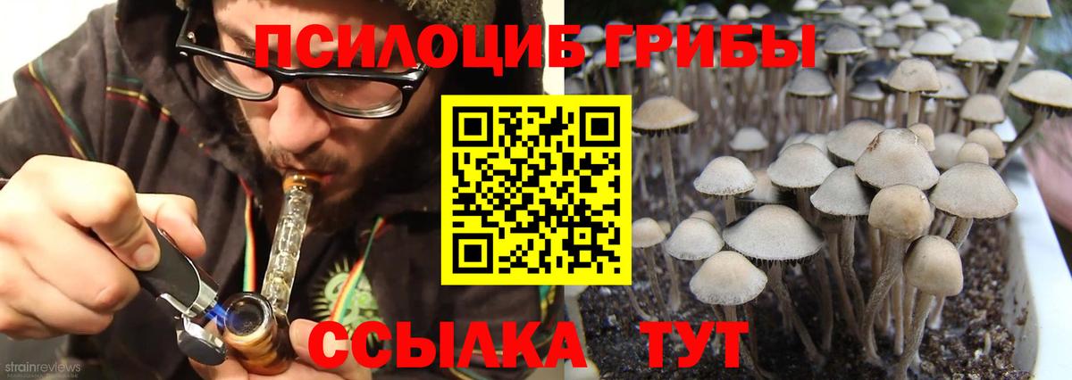 ЭКСТАЗИ  Гашиш  Магазин наркотиков  МДМА  Вход с VPN  Кокаин  МЕФ   Марихуана  Братск  ГАШИШ 